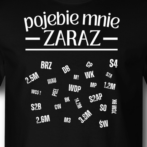 Pojebie mnie zaraz - BLUZA Z NADRUKIEM